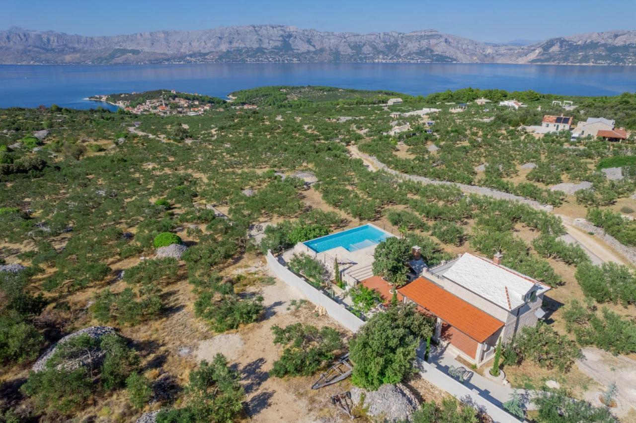Olive Park House Brac Villa พอฟเลีย ภายนอก รูปภาพ